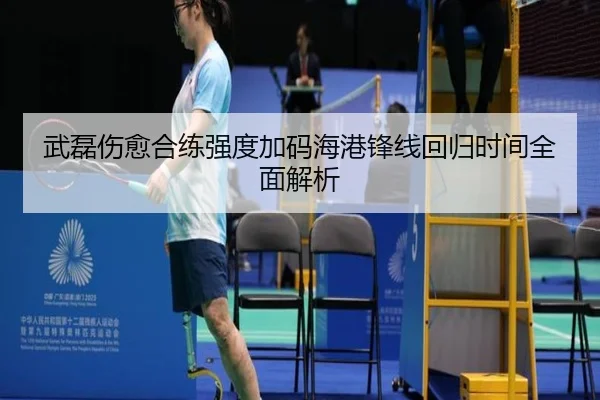 武磊伤愈合练强度加码海港锋线回归时间全面解析 - YSBSports